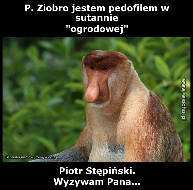 P. Ziobro jestem pedofilem w sutannie