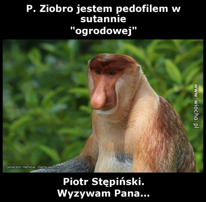 P. Ziobro jestem pedofilem w sutannie