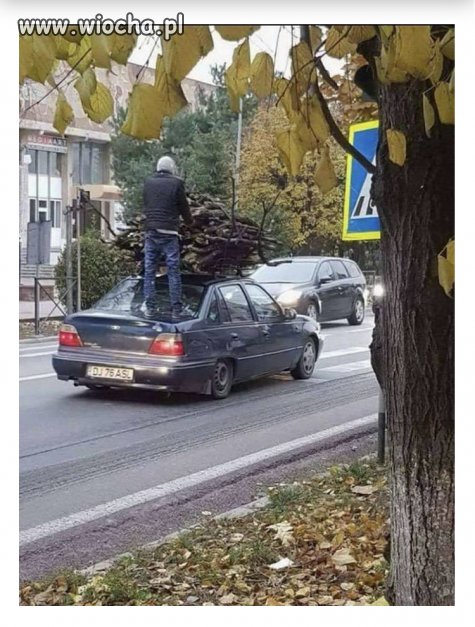 Przewoźnik.