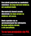 Przejadą się 
