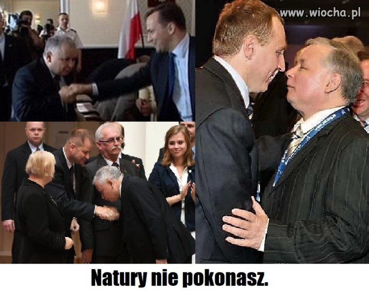 Bez tytułu.