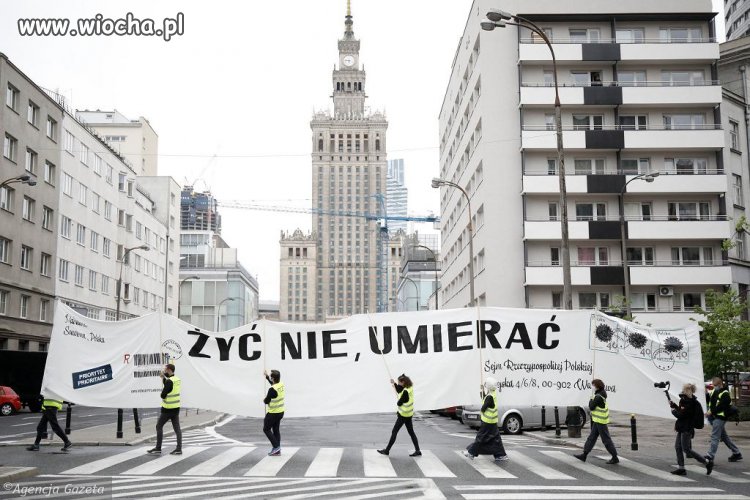 Artyści wykonali performance który nie pasi władzy