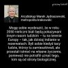 Gonić tę czarną