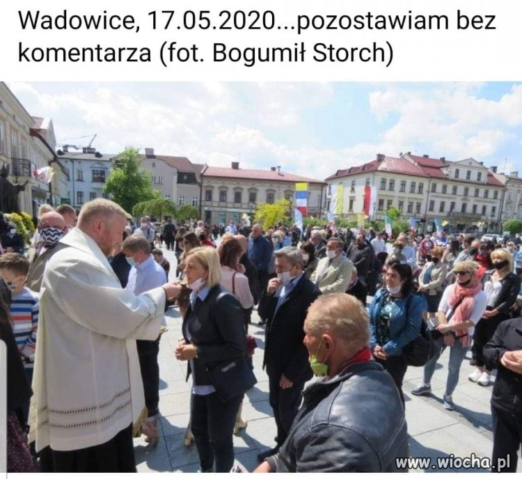 Stado baranów
