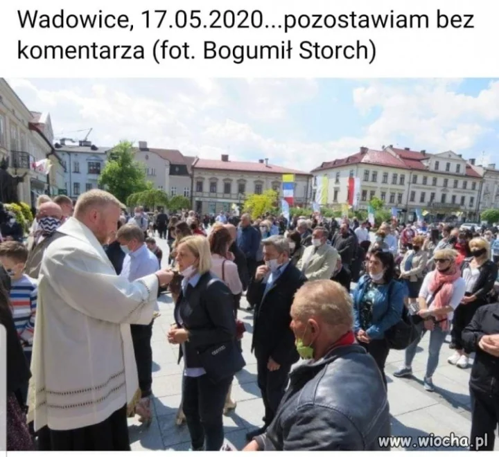 Stado baranów