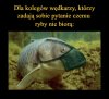 Od dzisiaj otwarte restauracje 
