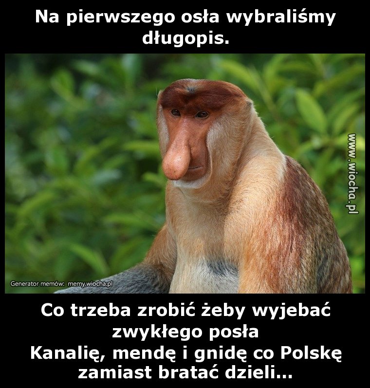 Na pierwszego osła wybraliśmy
długopis.