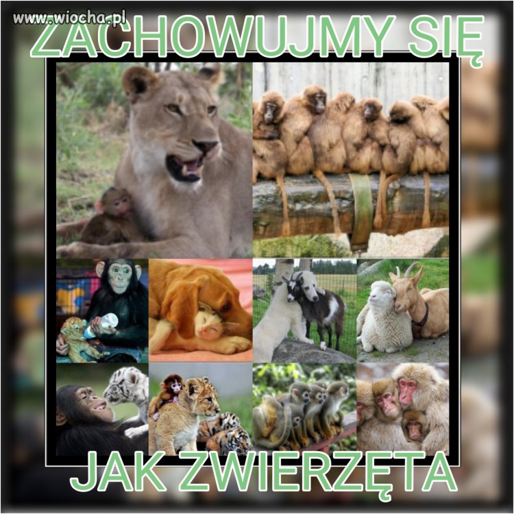 Zachowujmy się 