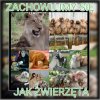 Zachowujmy się 