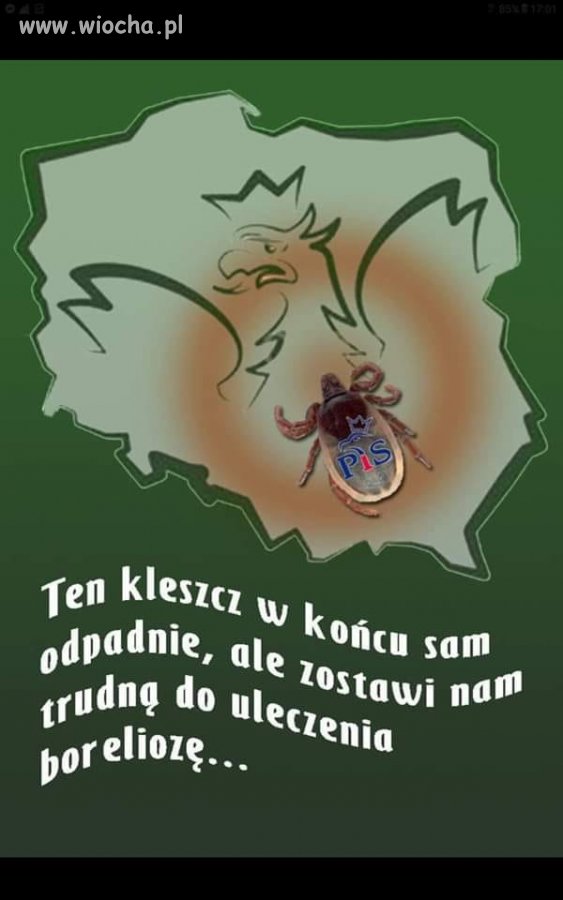 Damy radę?