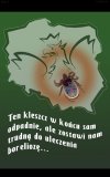 Damy radę?