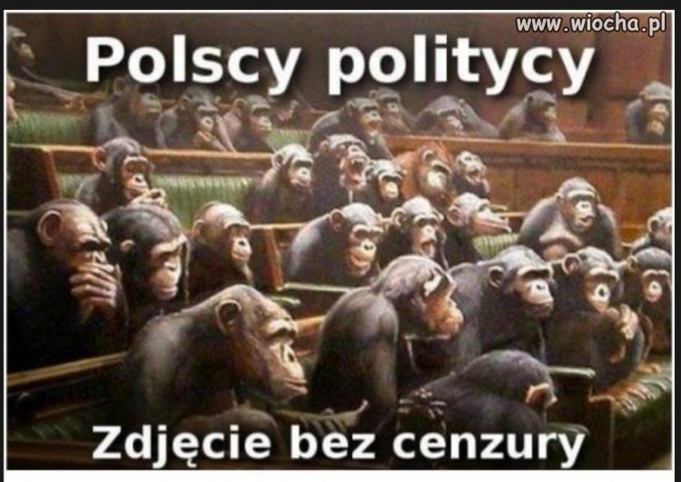 Polscy politycy