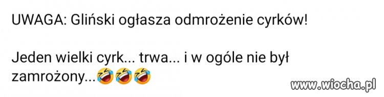 Jeden wielki cyrk trwa...