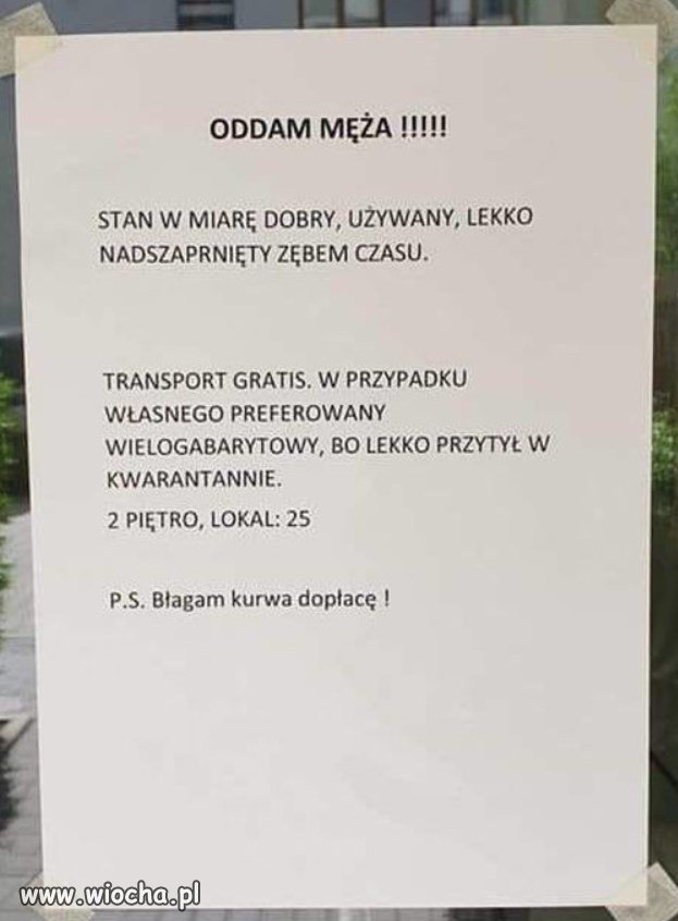 Oddam męża...