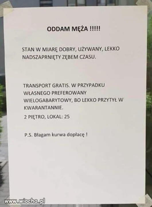 Oddam męża...