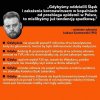 Gdyby nie pis
