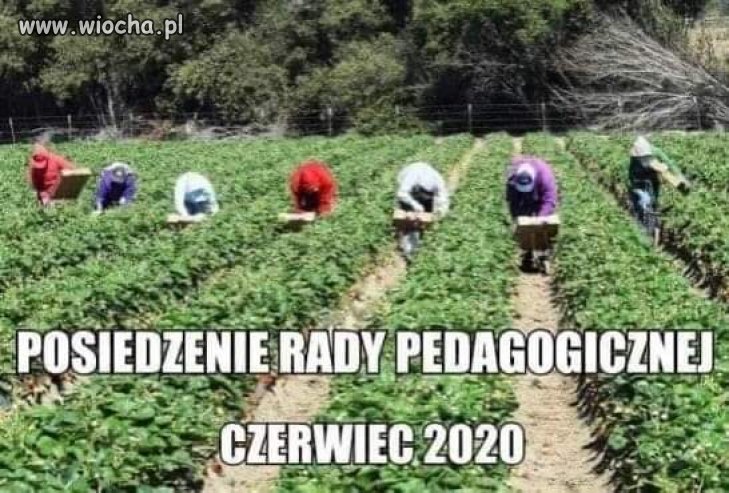 100 %