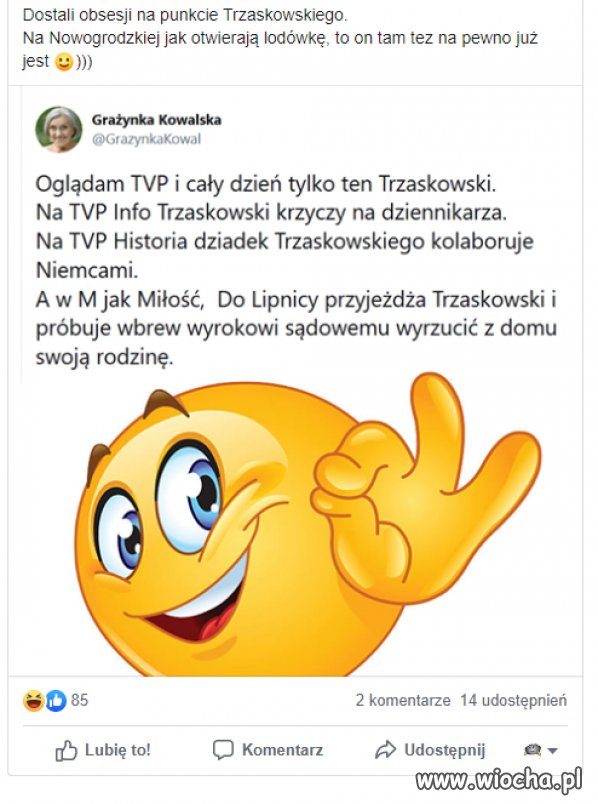 Panika w TVP