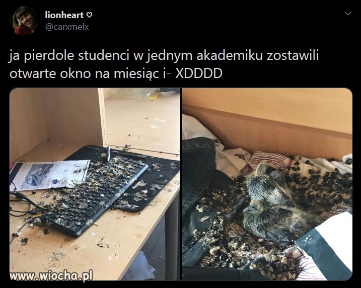 No comment...