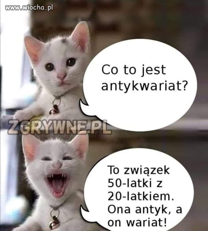 Takie tam w niedziele