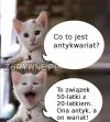 Takie tam w niedziele