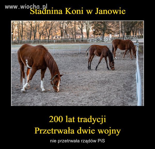  Wszystko czego dotkną