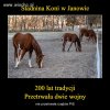  Wszystko czego dotkną