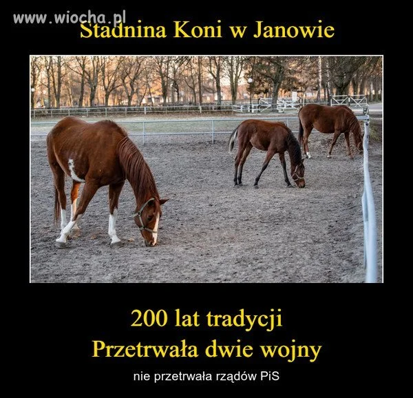  Wszystko czego dotkną