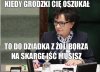 Sfajdoliła się bida i piszczy na cały pis