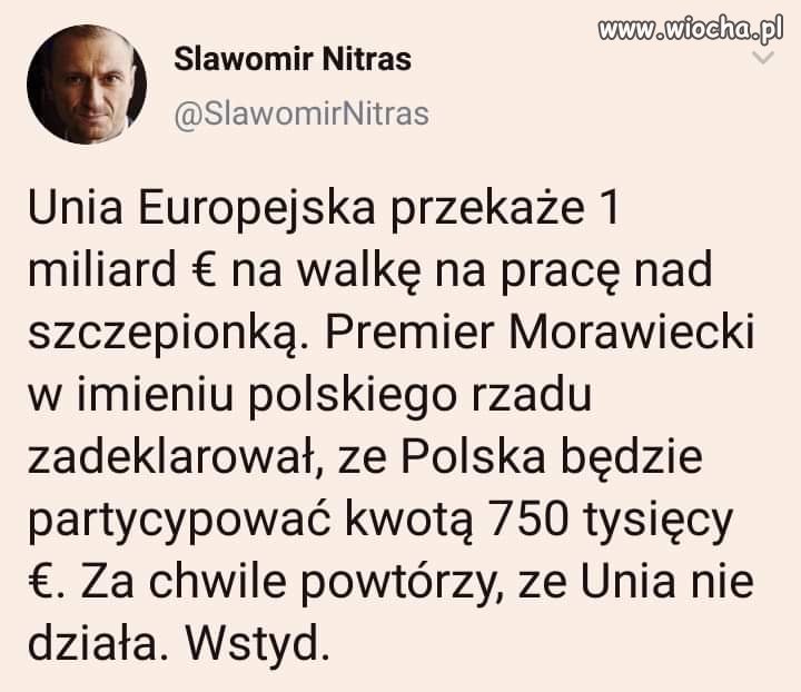 Państwo 