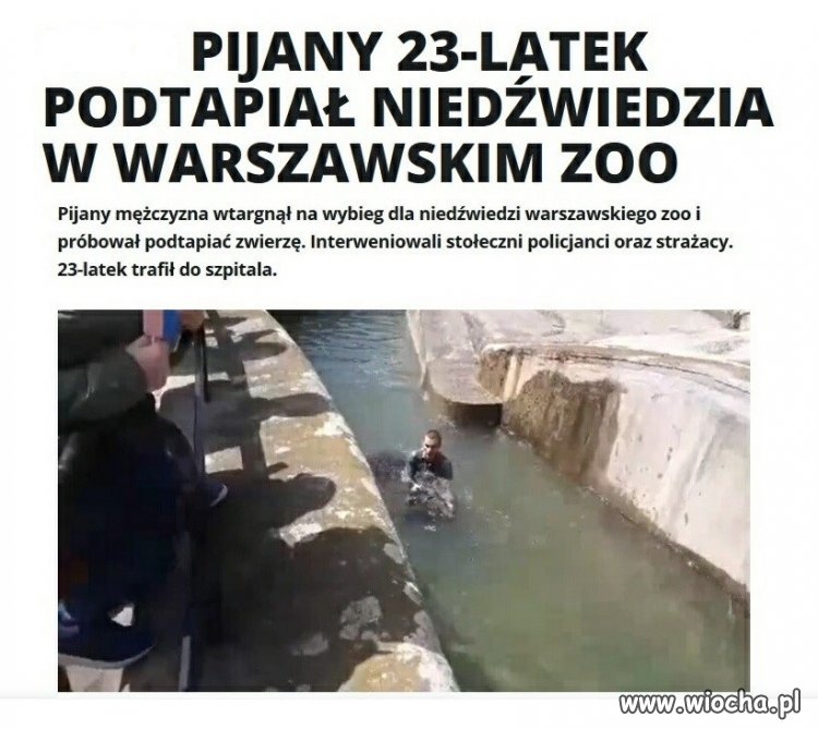 Ułańska fantazja czy zwykły debilizm