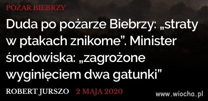 To w końcu jak?