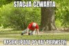 Przekaz dnia