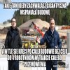 Wiarygodność po pisowsku na mierzeji wiślanej
