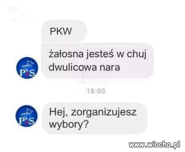 Zdruzgotany wyborca Pisu