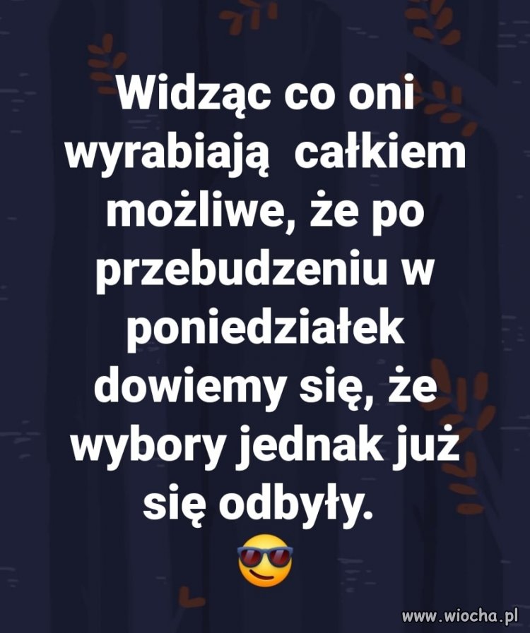 Wcale bym się nie zdziwił ...