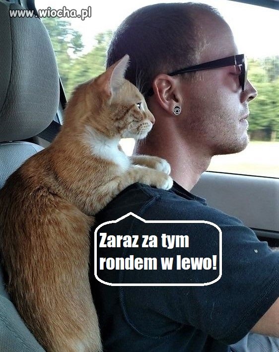 Bez tytułu.