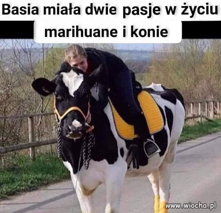 Dwie pasje Basi...