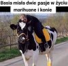 Dwie pasje Basi...