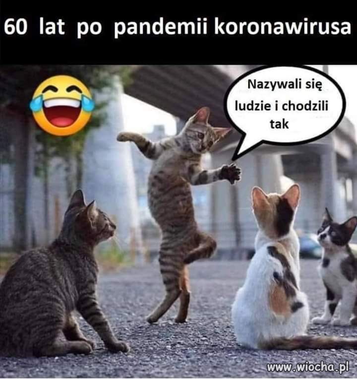 Podroż do przyszłości... 