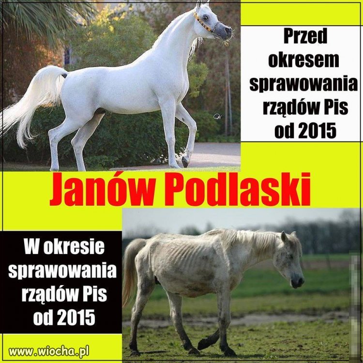 Nawet kraje trzeciego świata tego by nie wymyśliły
