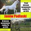 Nawet kraje trzeciego świata tego by nie wymyśliły