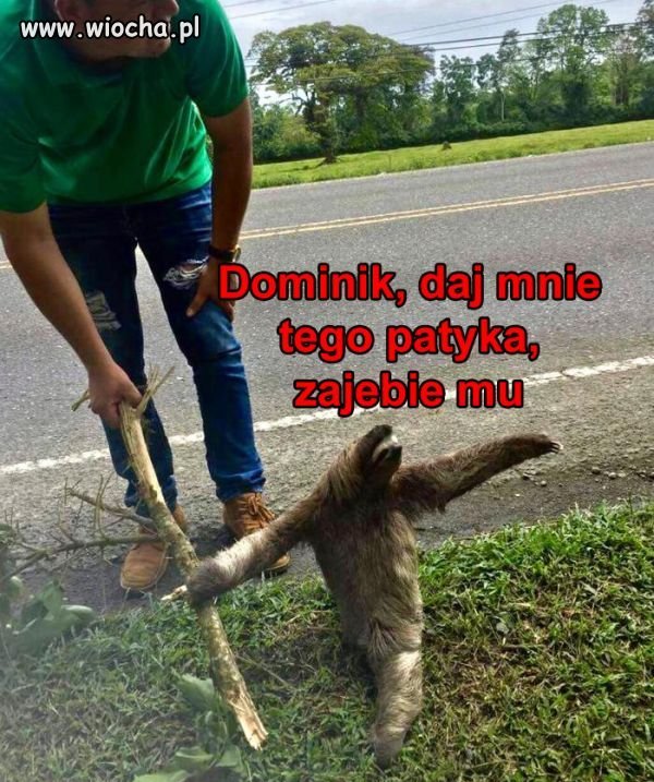 Zabije!