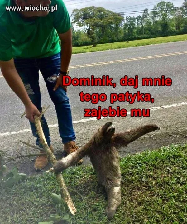 Zabije!