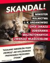 Skandal