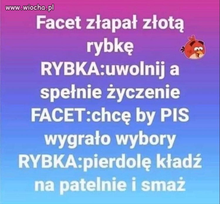 Tytuł zbędny