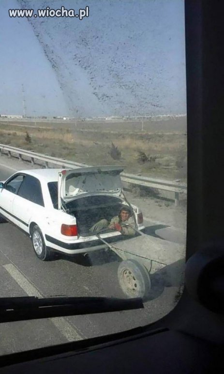 Muslin w transporcie pracuje