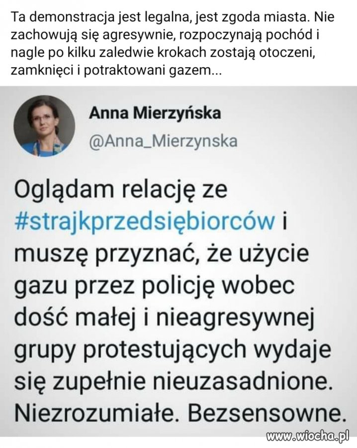 Demonstranci potraktowani gazem