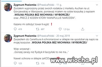 Zygmunt desperat i patriota 