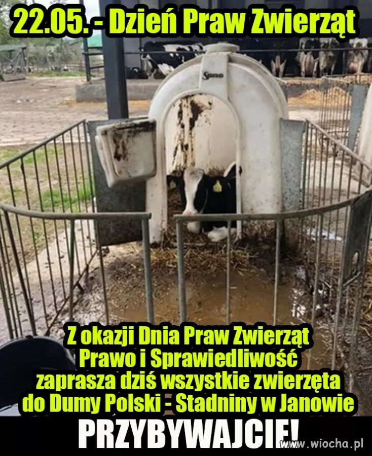 Dzień praw